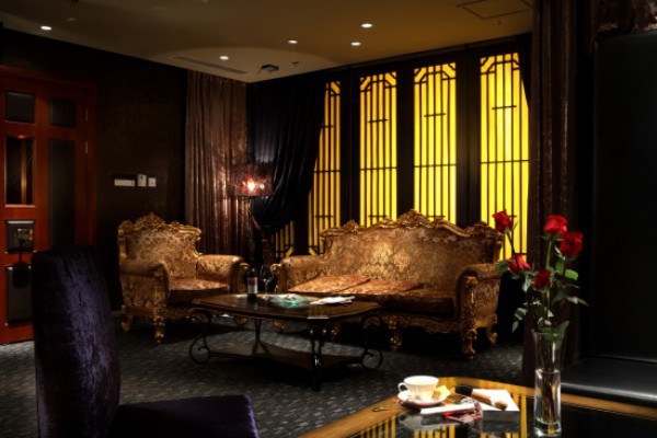 白茶轻柔，品鉴岁月的温柔